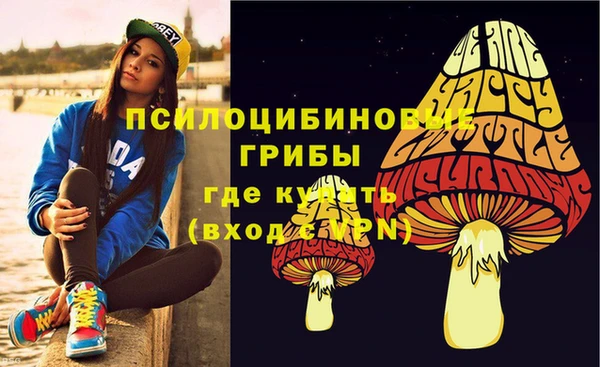 синтетический гашиш Алексеевка