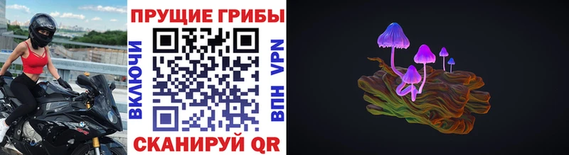 блэк спрут как войти  Евпатория  Псилоцибиновые грибы MAGIC MUSHROOMS 